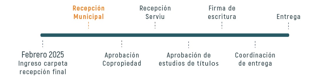 20250724-mdl-lineatiempo-min Avance de obra