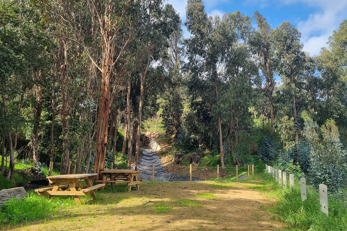 20250908-mdl-gal-8-min Mirador de Limache